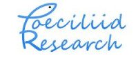 Image of Feasibility and strategy of developing the agribusiness of marine ornamental fish for export